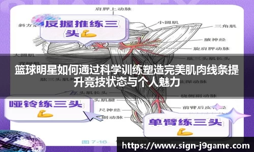 篮球明星如何通过科学训练塑造完美肌肉线条提升竞技状态与个人魅力